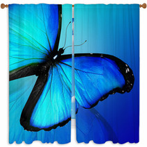 Blue Butterfly On Blue Background Window Curtains 47013557