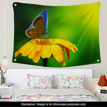 Blue Butterfly Wall Art 41974833