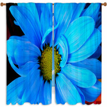 Blue Daisy Window Curtains 66688674