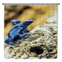 Blue Dart Frog Bath Decor 73465897