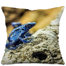 Blue Dart Frog Pillows 73465897