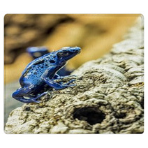 Blue Dart Frog Rugs 73465897