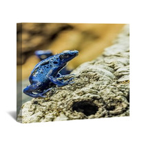 Blue Dart Frog Wall Art 73465897