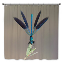 Blue Dragonfly In Nature. Macro Bath Decor 54638974
