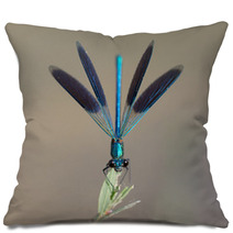 Blue Dragonfly In Nature. Macro Pillows 54638974