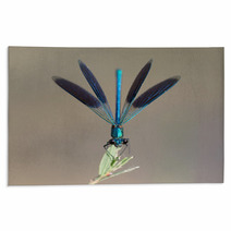 Blue Dragonfly In Nature. Macro Rugs 54638974