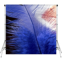 Blue Feather Backdrops 64826120