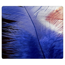 Blue Feather Rugs 64826120