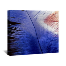 Blue Feather Wall Art 64826120