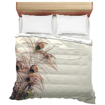 Blue Peacock Feathers Spread Out With White Wall Background Texture Bedding 237594616
