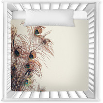 Blue Peacock Feathers Spread Out With White Wall Background Texture Nursery Decor 237594616