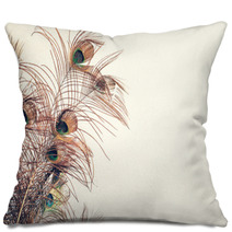Blue Peacock Feathers Spread Out With White Wall Background Texture Pillows 237594616