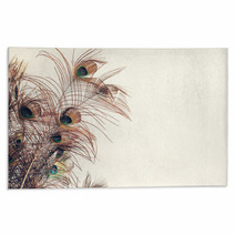 Blue Peacock Feathers Spread Out With White Wall Background Texture Rugs 237594616