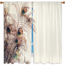 Blue Peacock Feathers Spread Out With White Wall Background Texture Window Curtains 237594616