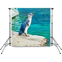 Blue Penguin Backdrops 39473310