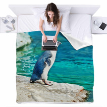 Blue Penguin Blankets 39473310