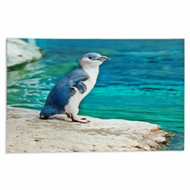 Blue Penguin Rugs 39473310