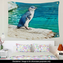 Blue Penguin Wall Art 39473310