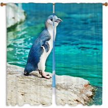 Blue Penguin Window Curtains 39473310