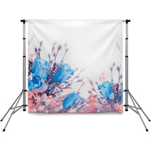 Blue Tulips With Mimosa, Spring Background Backdrops 62934077