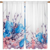Blue Tulips With Mimosa, Spring Background Window Curtains 62934077
