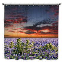 Bluebonnets In The Texas Hill Country Bath Decor 68071575