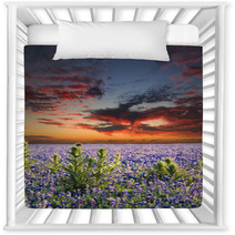Bluebonnets In The Texas Hill Country Nursery Decor 68071575
