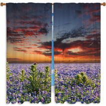 Bluebonnets In The Texas Hill Country Window Curtains 68071575