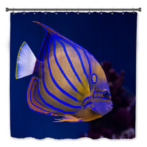 Bluering Angelfish Bath Decor 51515042