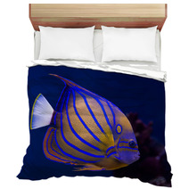 Bluering Angelfish Bedding 51515042