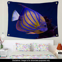 Bluering Angelfish Wall Art 51515042