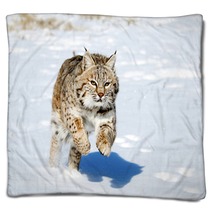 Bobcat In Winter Blankets 76119739