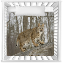 Bobcat In Winter Nursery Decor 5337447