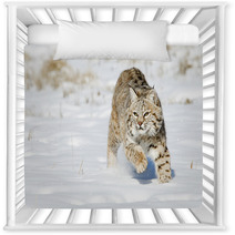 Bobcat In Winter Snow Land Nursery Decor 76119743