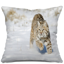 Bobcat In Winter Snow Land Pillows 76119743
