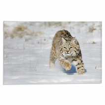 Bobcat In Winter Snow Land Rugs 76119743