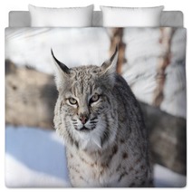 Bobcat (Lynx Rufus) Bedding 28742681