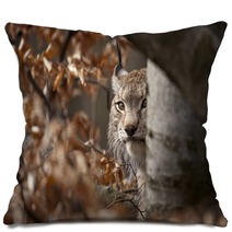 Bobcat Pillows 75173057