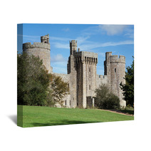 Bodiam Castle And Surrounding Green Park Wall Art 61347407