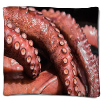 Boiled Octopus Blankets 89833952