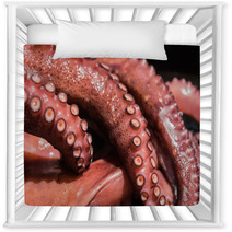 Boiled Octopus Nursery Decor 89833952