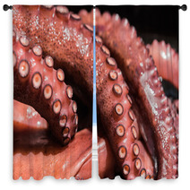 Boiled Octopus Window Curtains 89833952