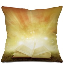 Book Pillows 56371590