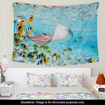 Bora Bora Underwater Wall Art 44671453