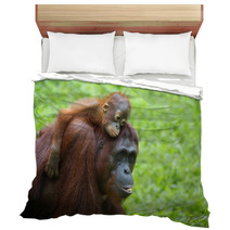 Borneo Orangutan Bedding 81611886