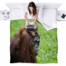 Borneo Orangutan Blankets 81611886