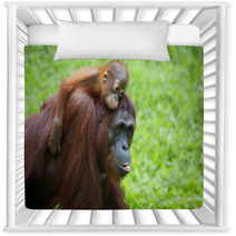 Borneo Orangutan Nursery Decor 81611886