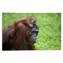 Borneo Orangutan Rugs 81611886