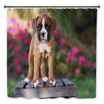 Boxer Puppy Standing On Wooden Crate Bath Decor 57114473