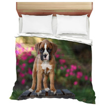 Boxer Puppy Standing On Wooden Crate Bedding 57114473